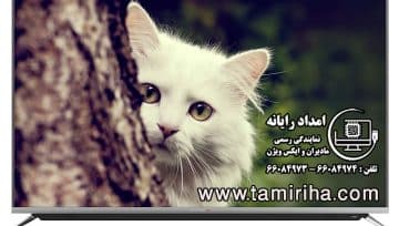 بررسی ترکیب رنگ فوق العاده تلویزیون های دوو، اسنوا، جی پلاس